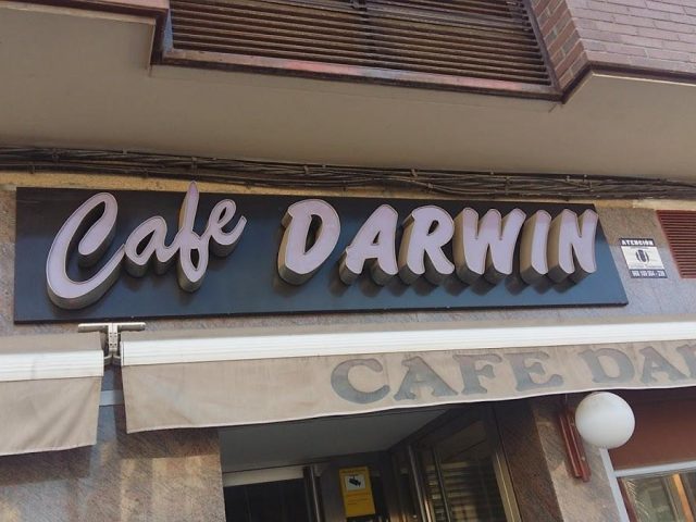 Café Darwin