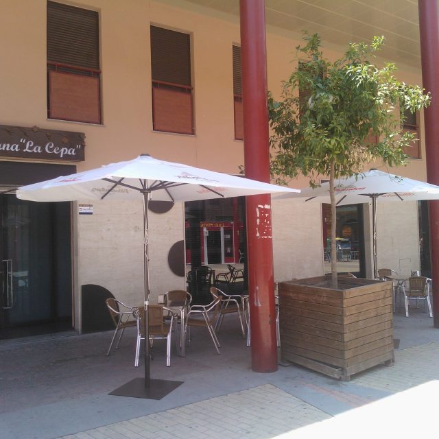 Taberna La Cepa