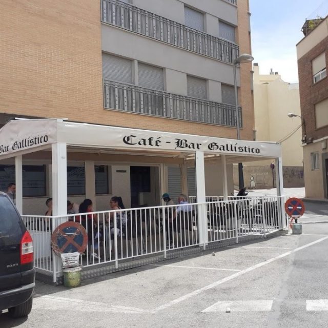 Gallístico