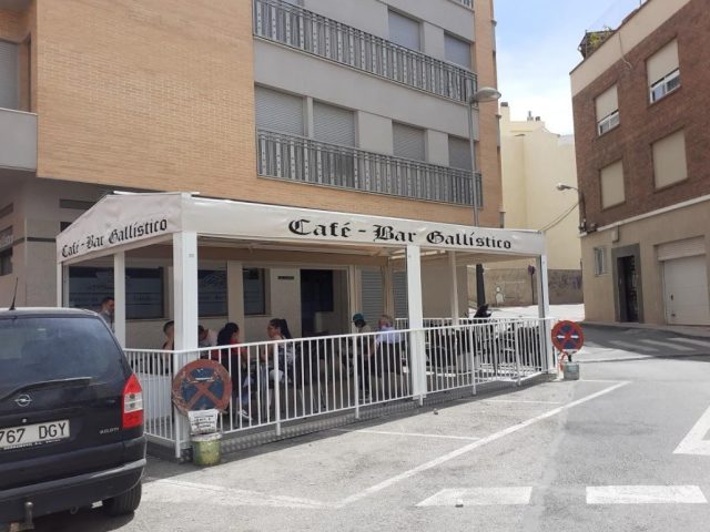 Gallístico