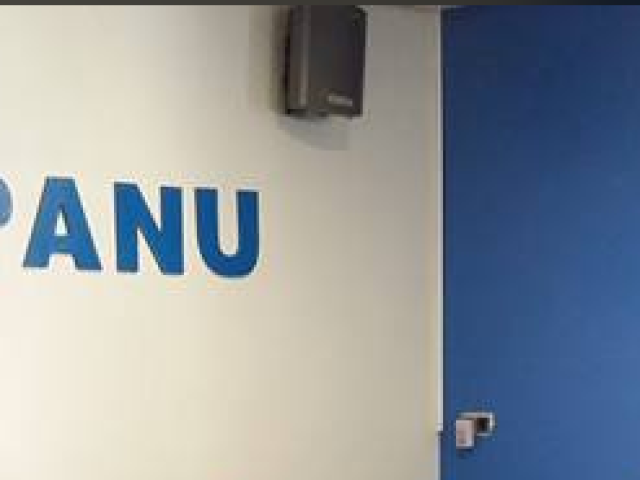 Pub Panu
